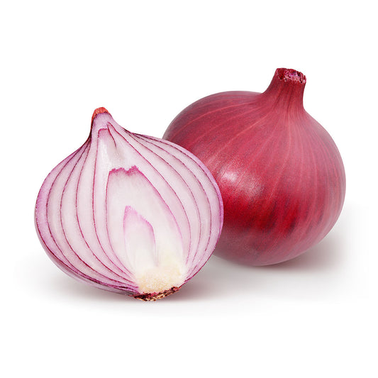 Onion Seed