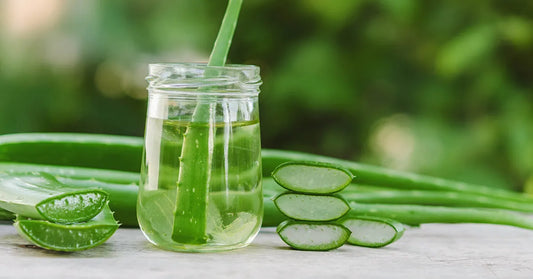 Want to know the secret powers of Aloe Vera?