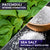 body-wash-and-free-face-wash